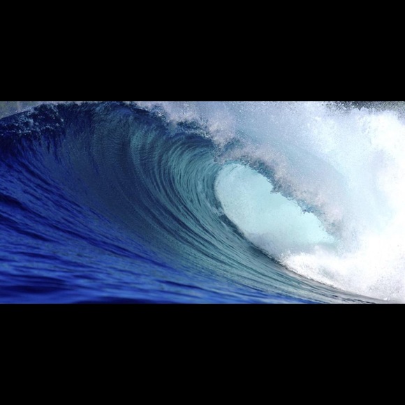 Meet your Posher, Rami - Picture 1 of 1